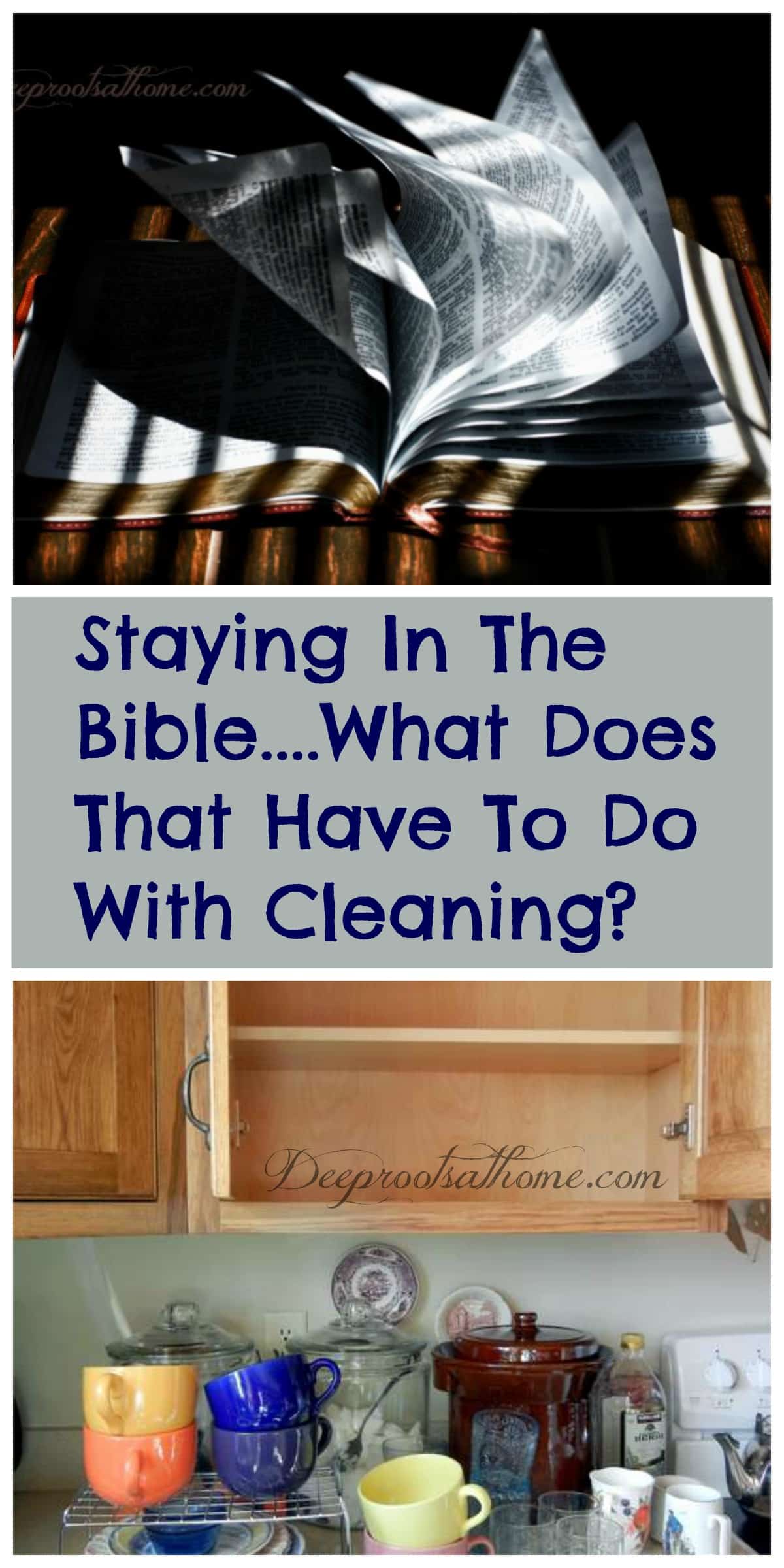 Staying In The Bible....What Does That Have To Do With Cleaning?