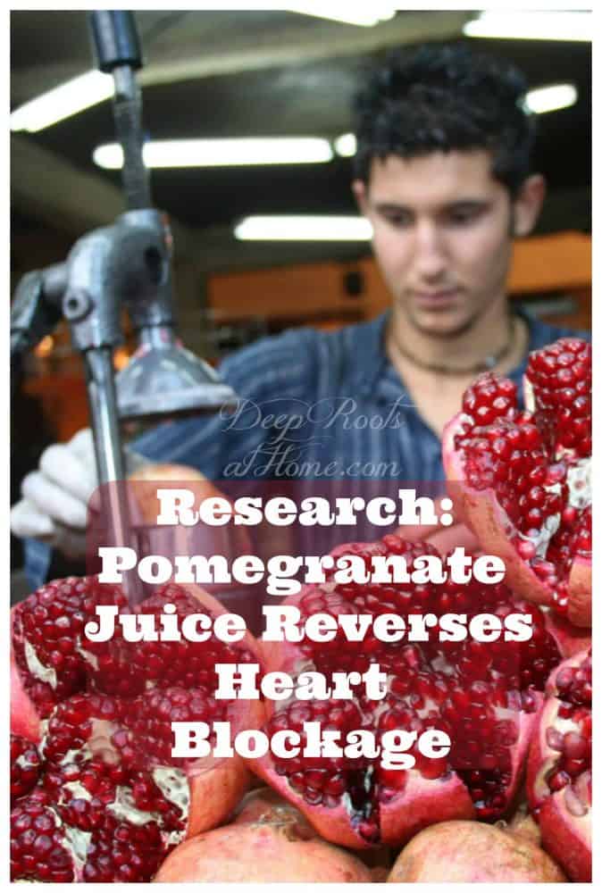 Research Pomegranate Juice Reverses Heart Blockage