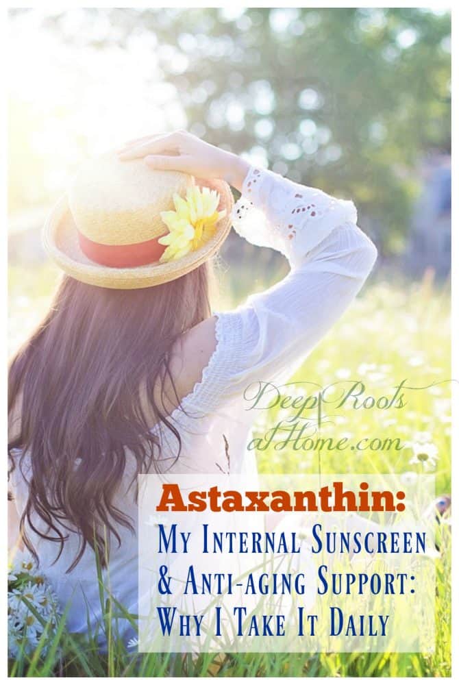 Astaxanthin My Internal Sunscreen & Antiaging Support