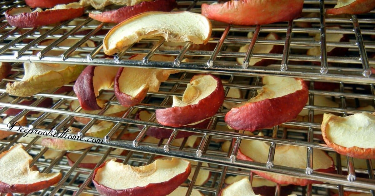 3 Simple Steps To Dehydrating Apples For Long Term Storage