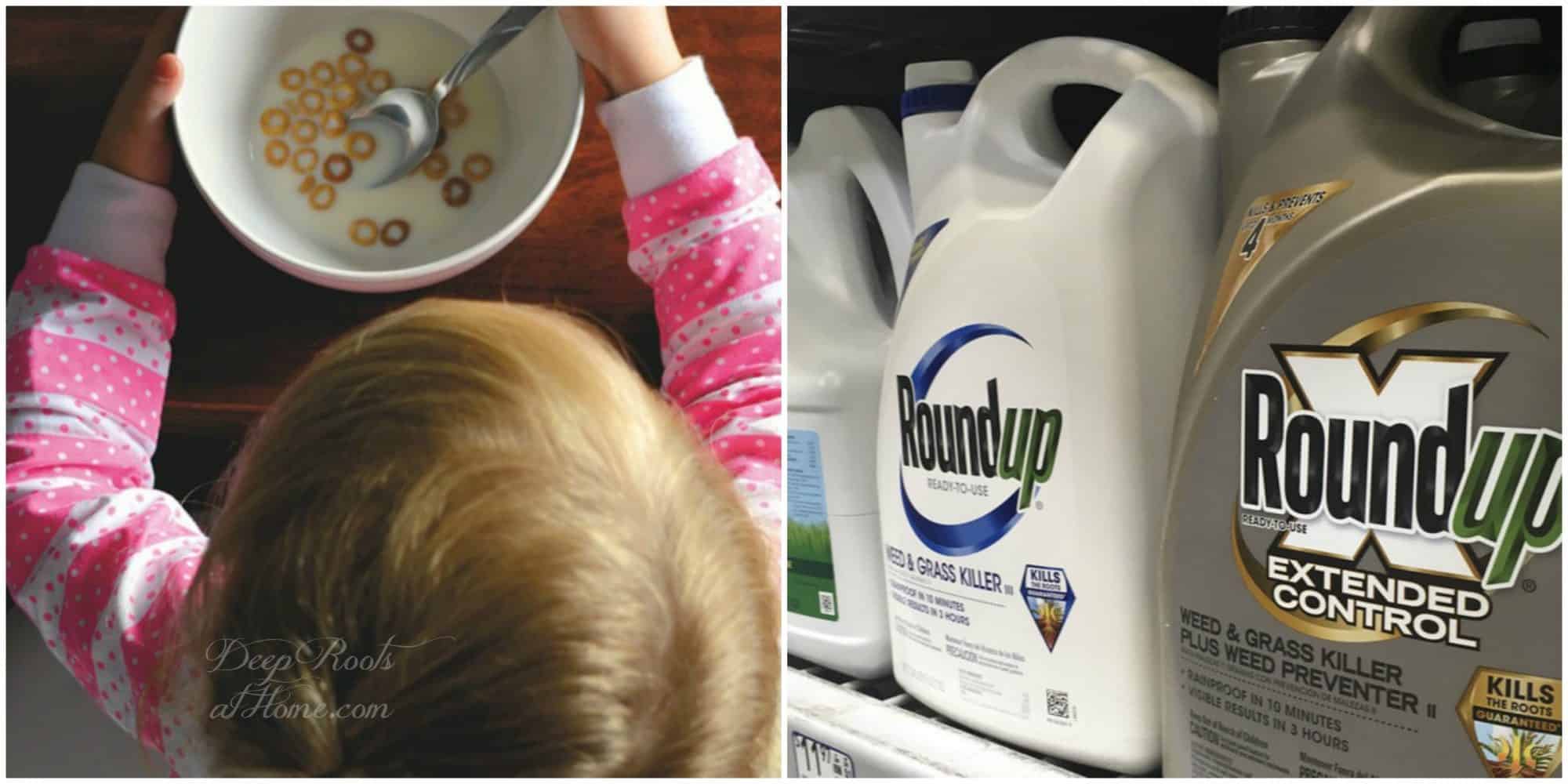 Corn Allergies & 16 Other Health Problems Linked to Roundup