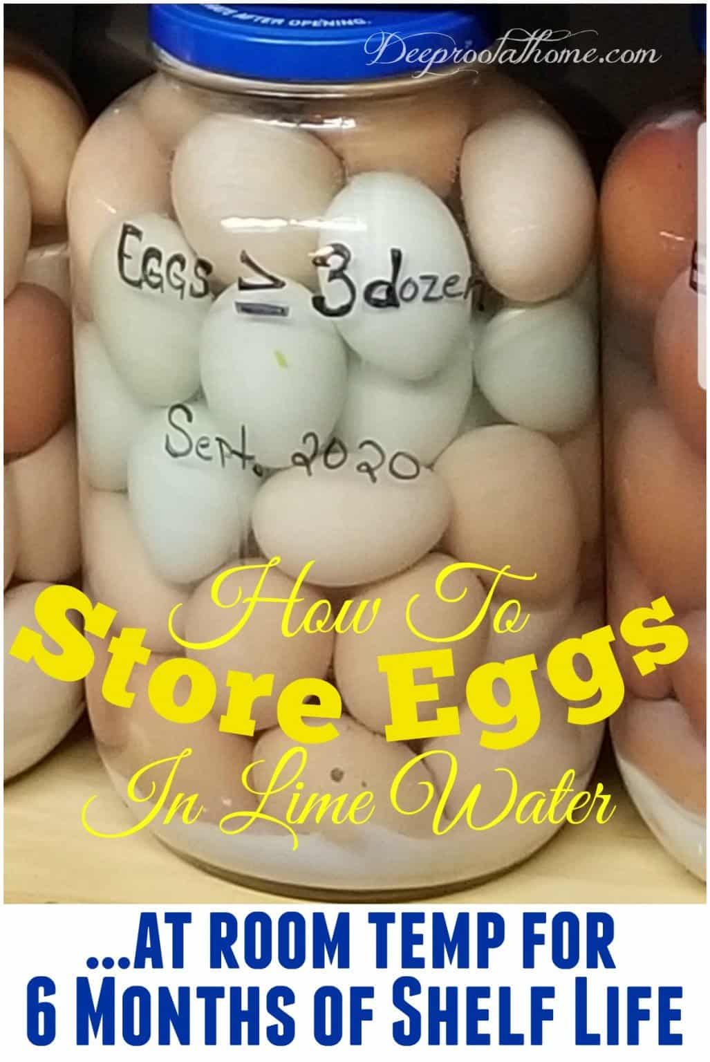 How to Store Eggs at Room Temp for 6 Months Shelf Life in Lime Water