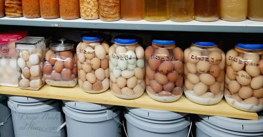 How to Store Eggs at Room Temp in Lime Water for 1 Year or More